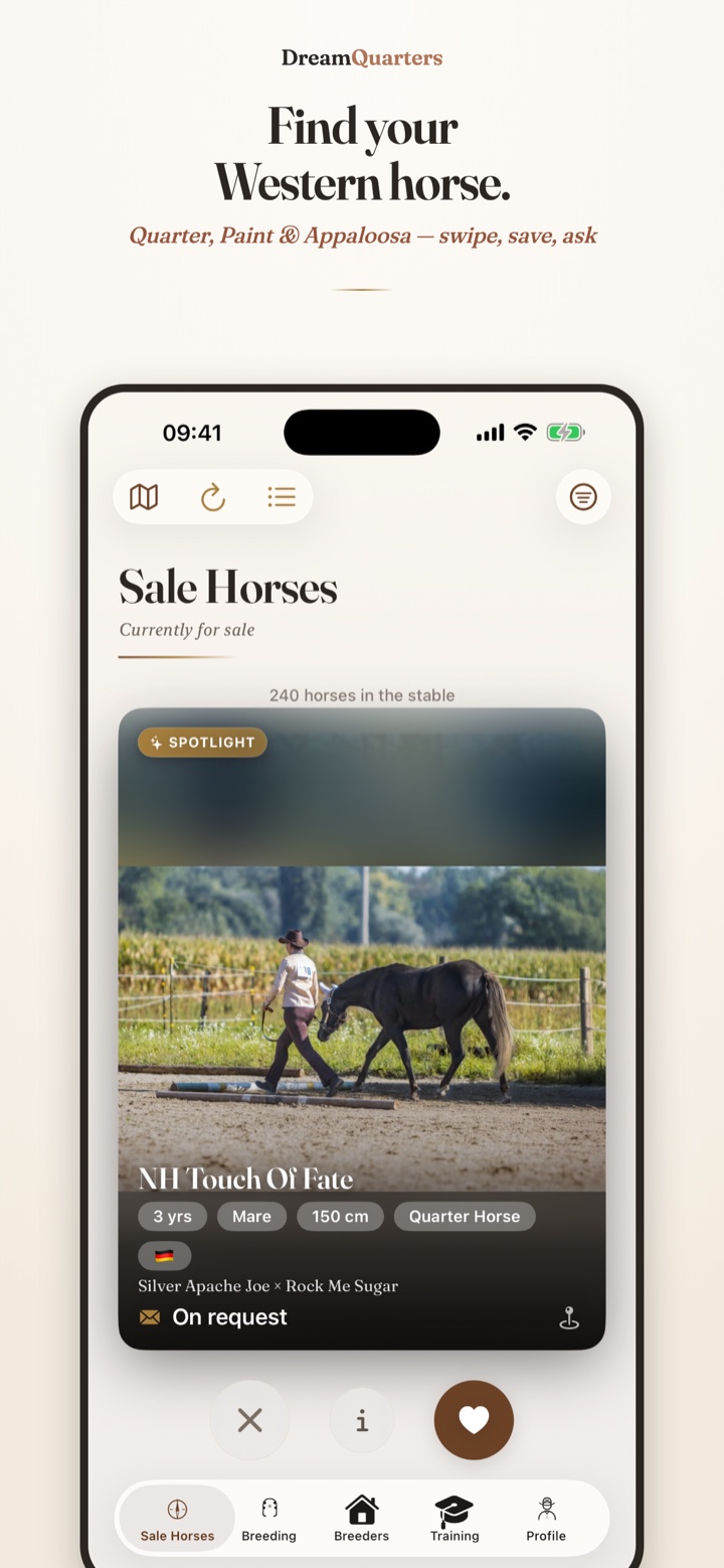 App Dream Quarters — cavalli in vendita come card da sfogliare