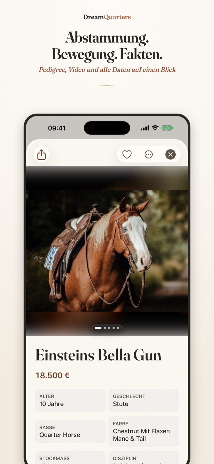 Inserat-Details in der Dream Quarters App mit Abstammung und Video
