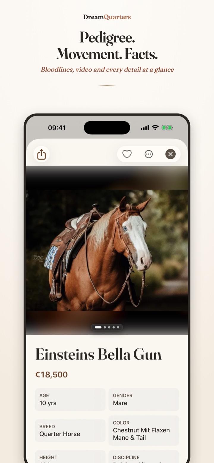Dettagli dell'annuncio nell'app Dream Quarters con pedigree e video