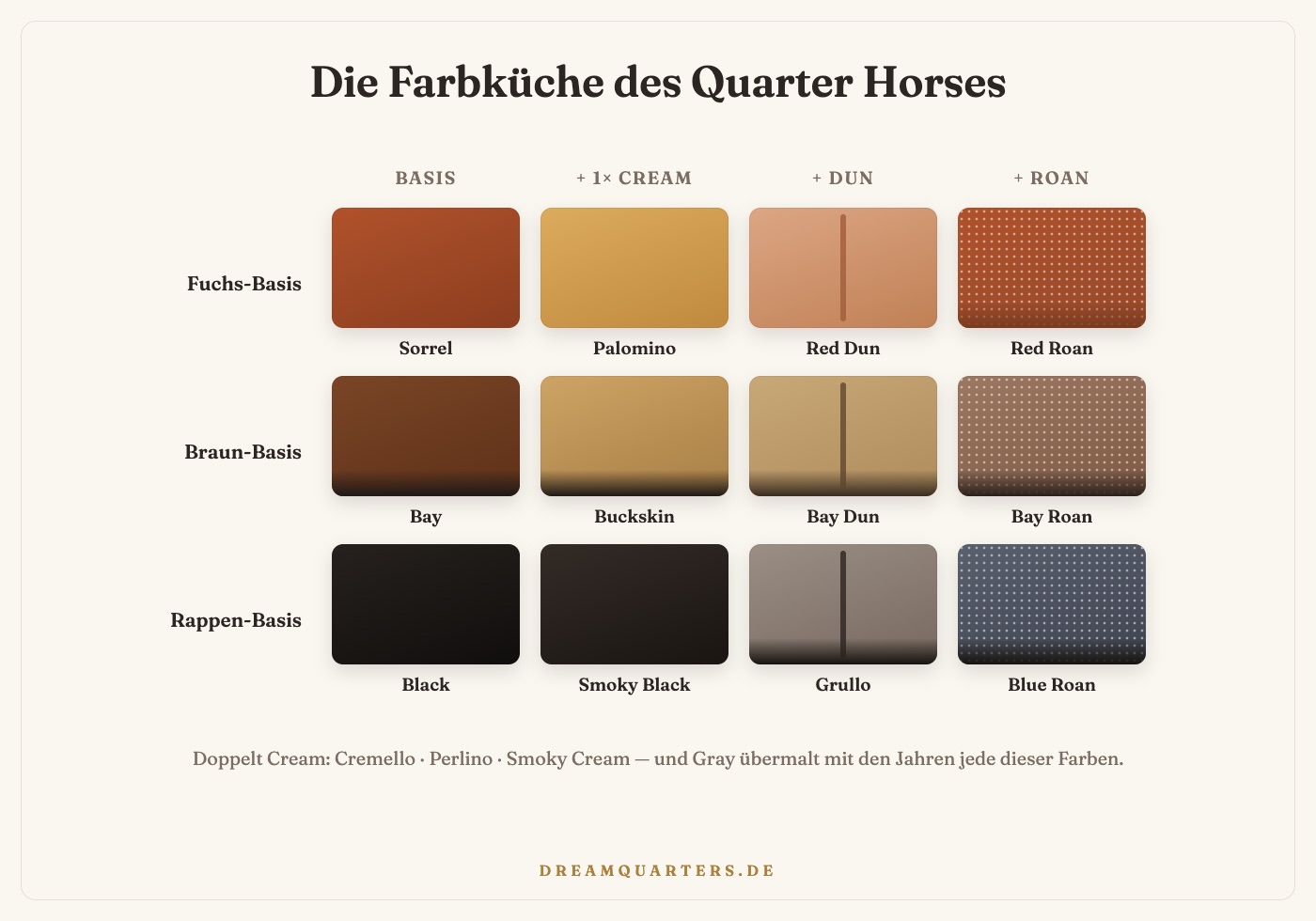 Quarter-Horse-Farben Übersicht: Tabelle der Grundfarben Sorrel, Bay, Black mit Cream-, Dun- und Roan-Varianten wie Palomino, Buckskin, Grullo und Blue Roan
