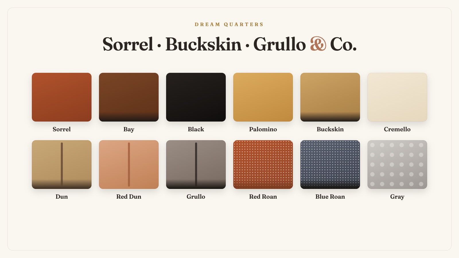 Quarter-Horse-Farben erklärt: Buckskin, Grullo, Roan & Co. — und was die Genetik dazu sagt