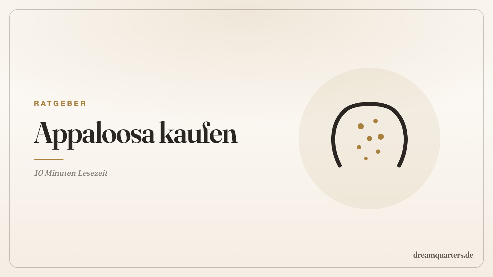 Appaloosa kaufen: Preise, Fellmuster, Warnsignale