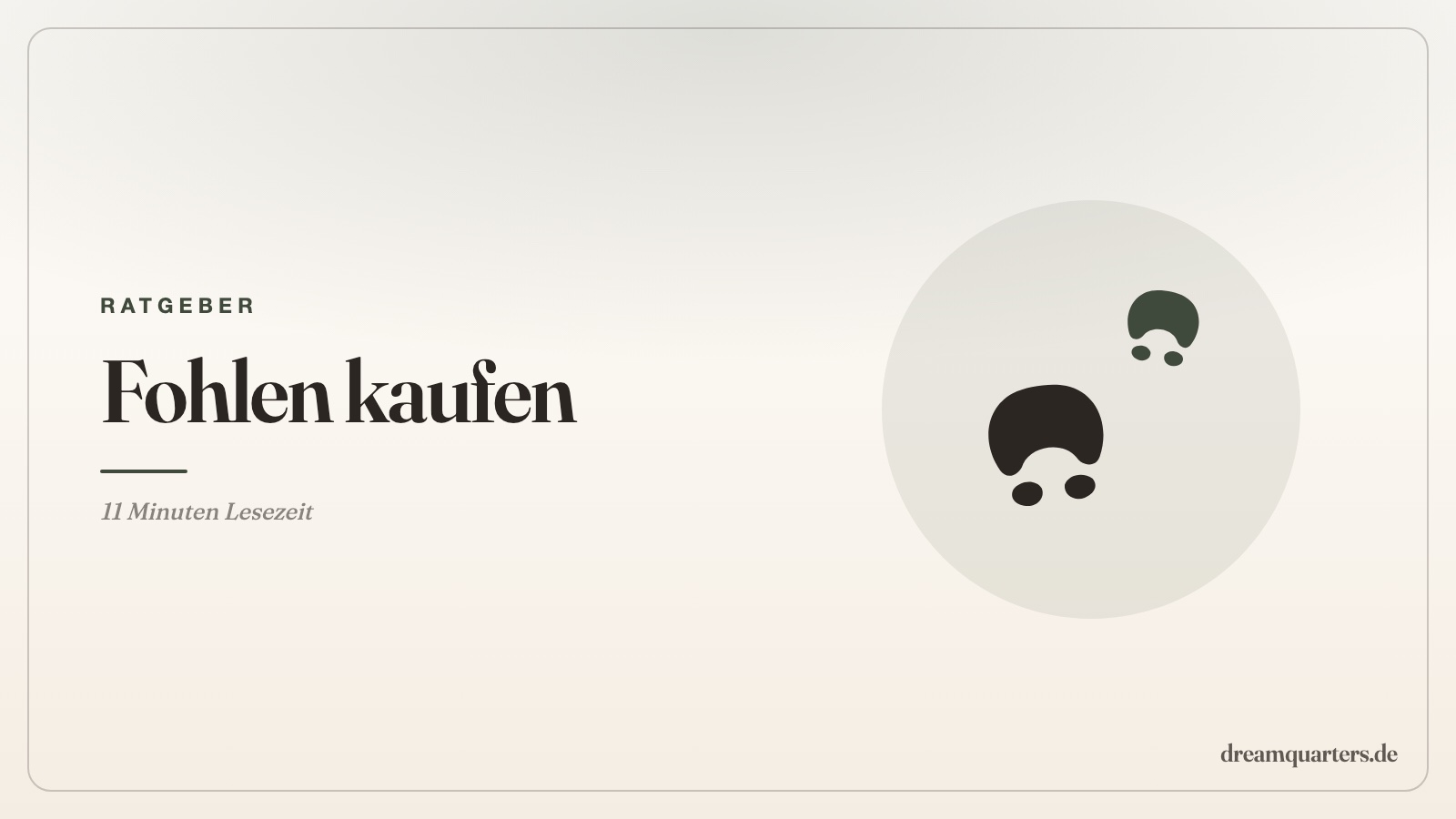 Fohlen kaufen: Worauf du achten musst - der ehrliche Ratgeber