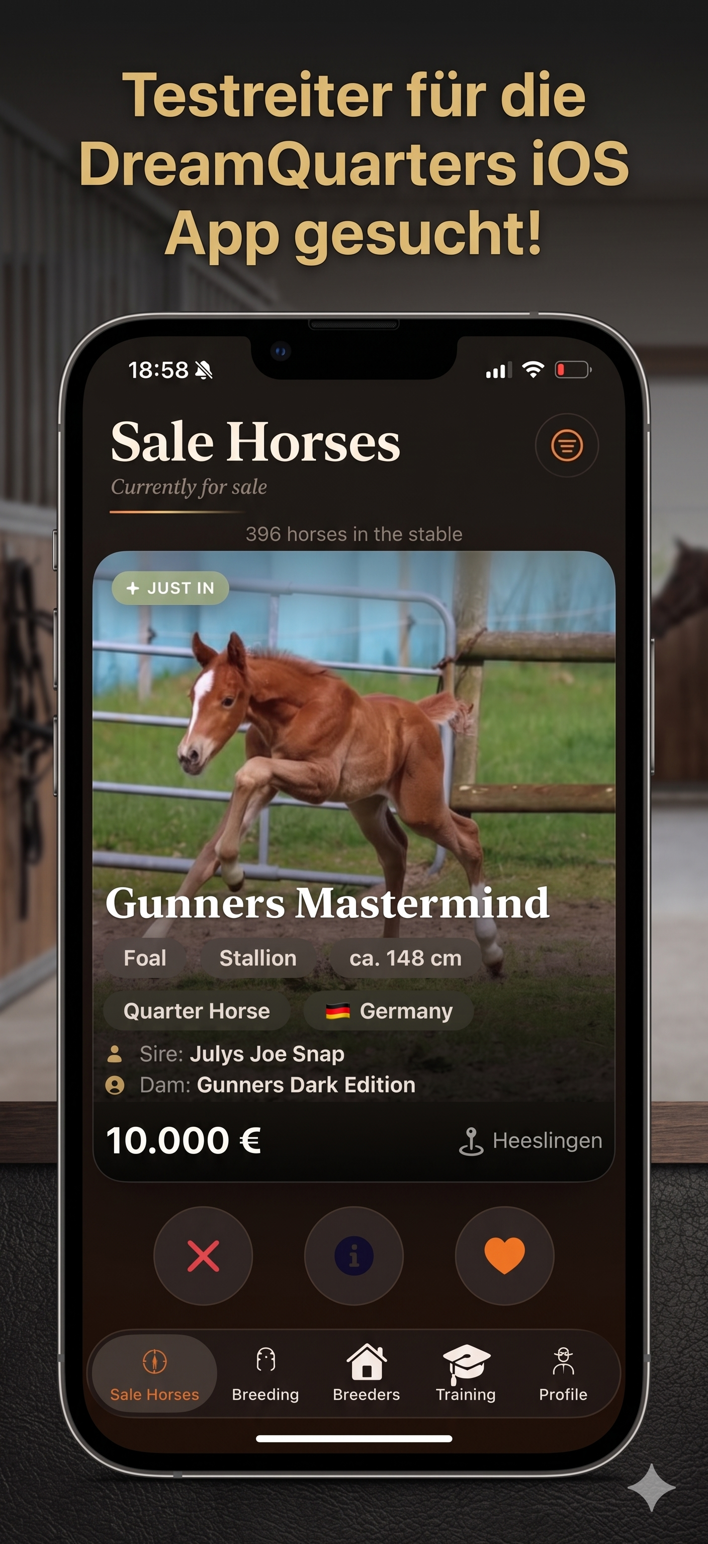 Dream Quarters iPhone-App